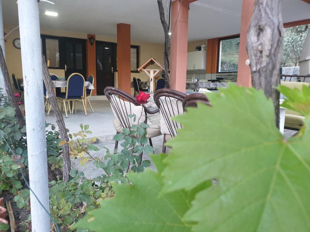 Mijailovic Apartmani Kaluderac Exterior photo